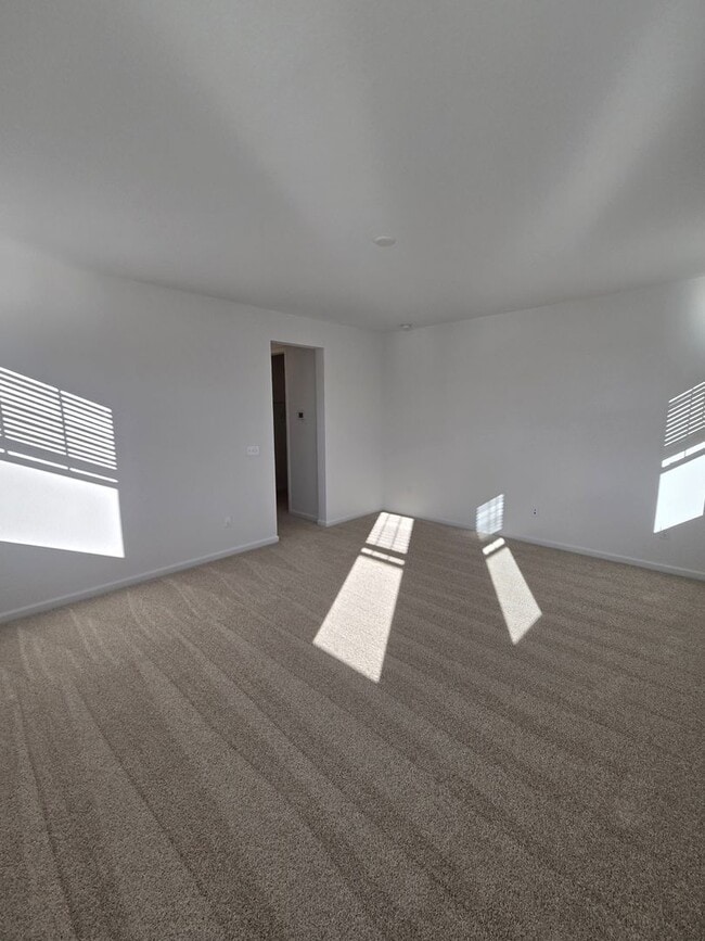 Building Photo - Brand New Aurora Highlands Ranch