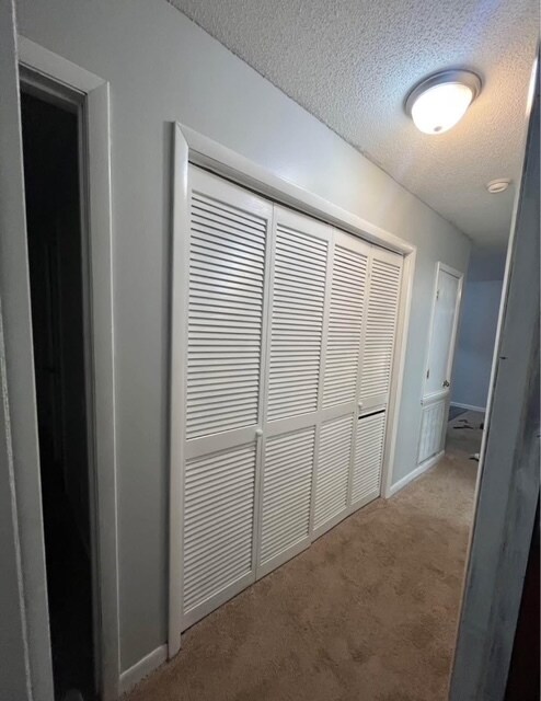 Building Photo - 3572 Torbay Dr