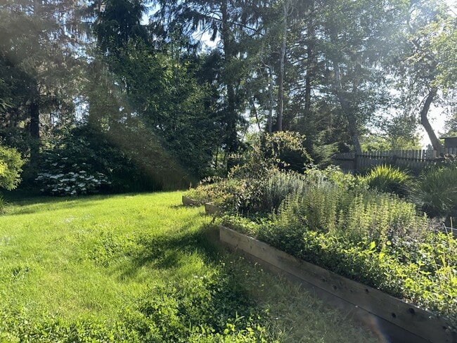 Building Photo - 2000+ sf home is in a great location, pet ...
