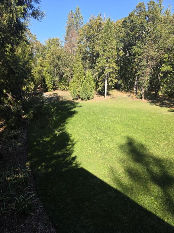 Building Photo - 3806 Jumpoff Joe Creek Rd