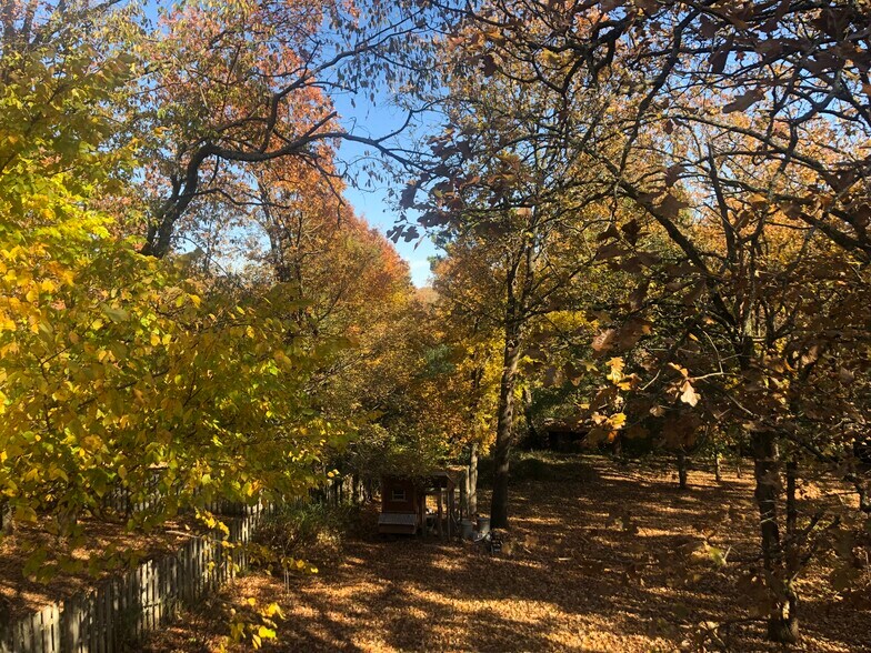 Back yard in fall - 1656 N Broadview Dr