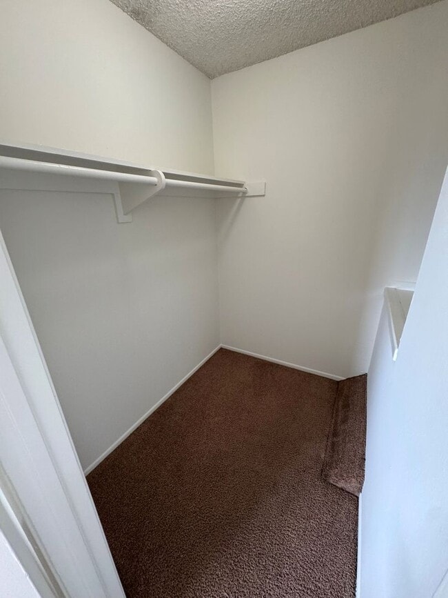 Building Photo - Centrally Located McKeon Condo