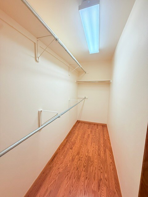 Building Photo - 2603 Arancia Dr