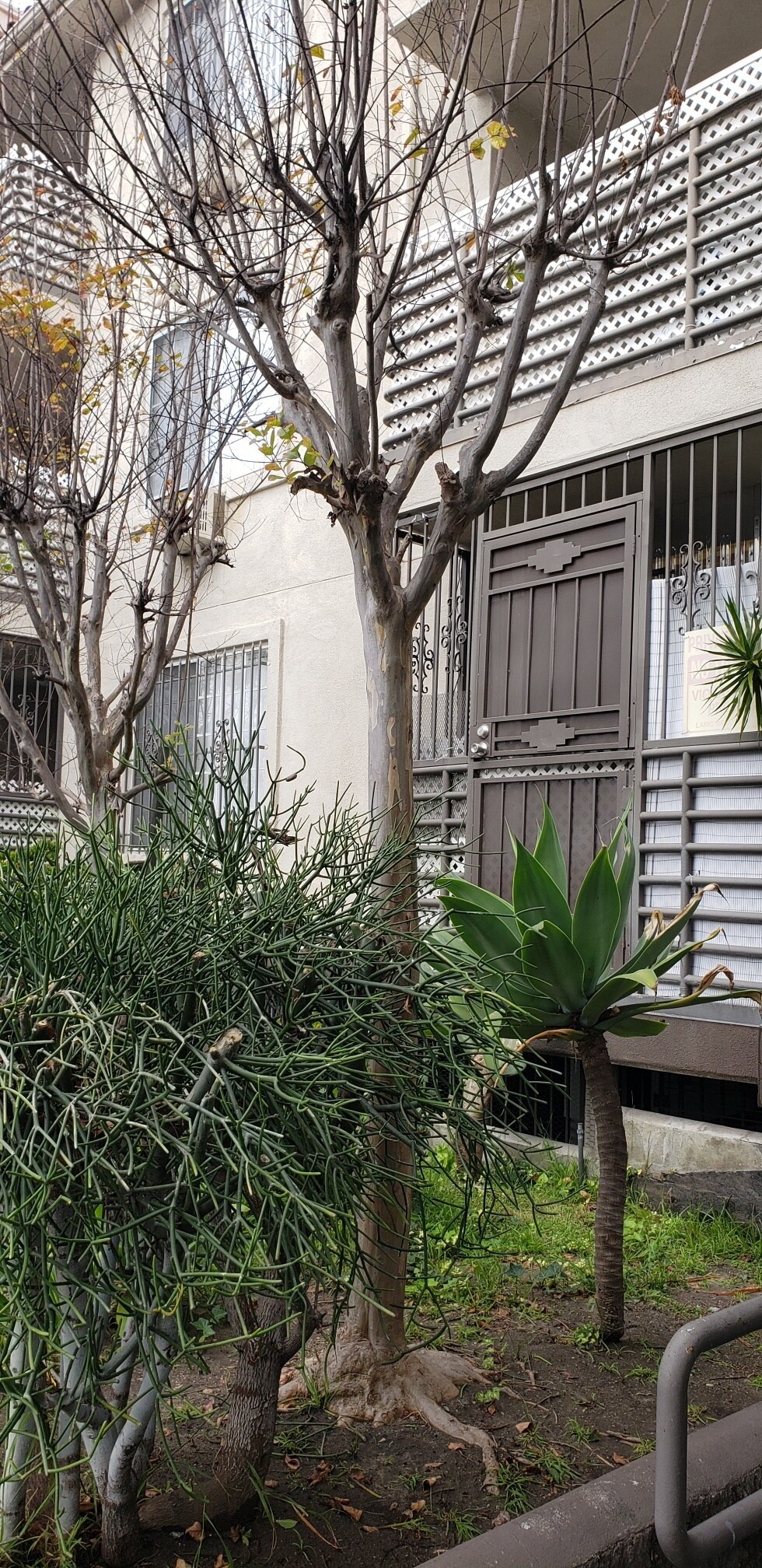 Building Photo - 2965 San Marino St