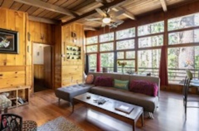 Building Photo - Cozy Cabin in Idyllwild