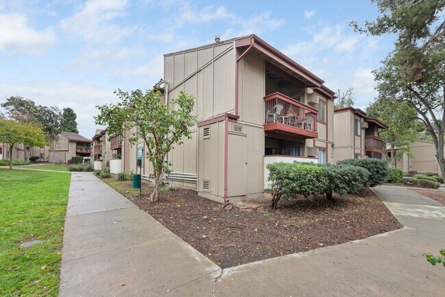 Building Photo - 5462 Adobe Falls Rd