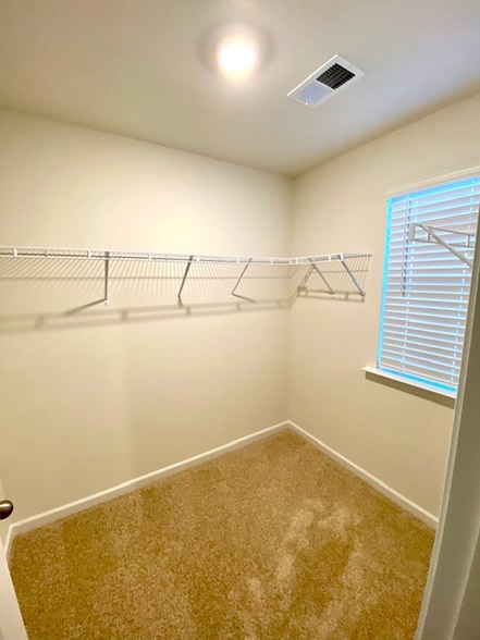 Building Photo - 1439 S Cardiff Trl