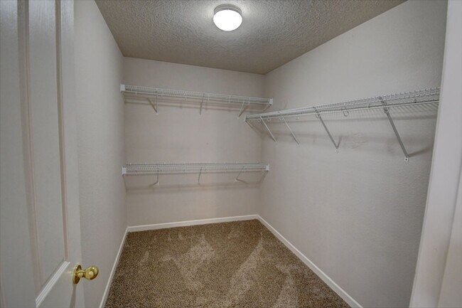 Building Photo - 4 Bedroom Home in Rio Rancho
