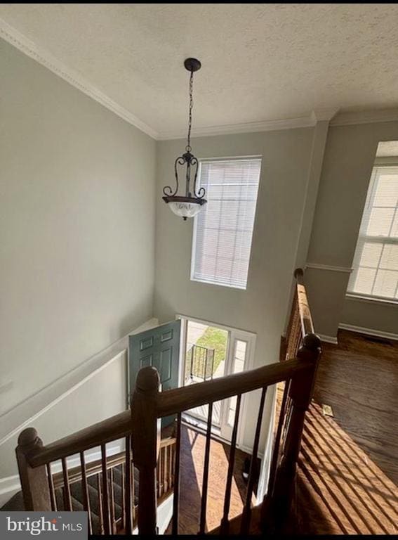 Building Photo - 325 Bald Eagle Way