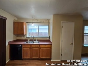 Building Photo - 2307 Mission Glory