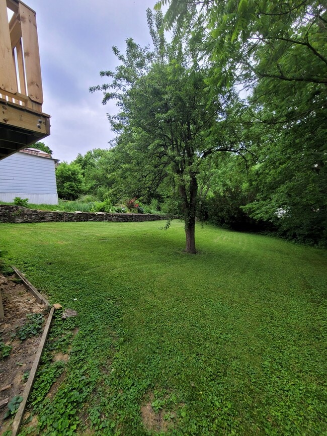 Building Photo - 816 Montague Rd