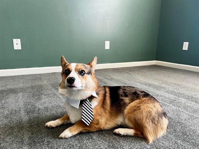 Building Photo - 342 Turkey Run Dr