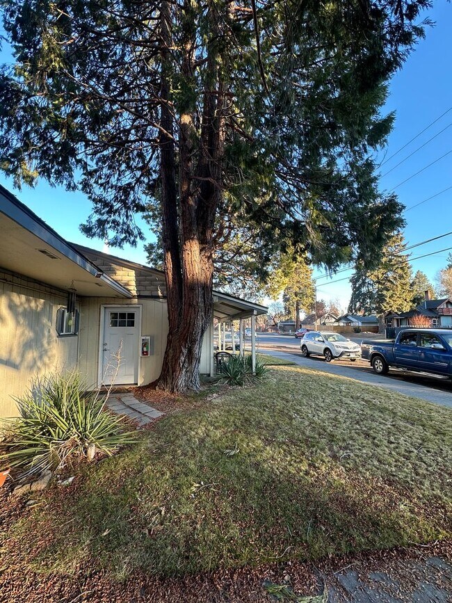 Building Photo - Newport Ave Triplex - 00404-NEWP-00