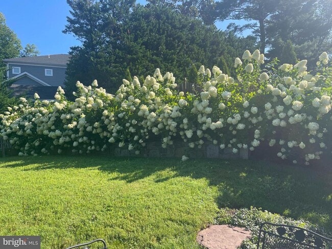 Building Photo - 8807 Ridge Rd