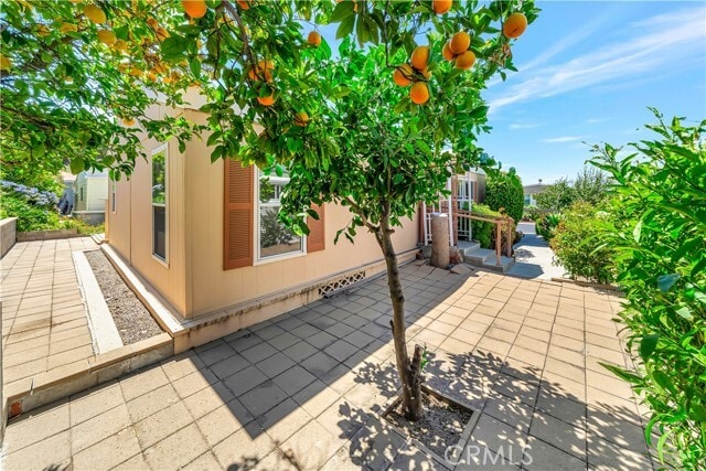 Building Photo - 24 Gitana Ave