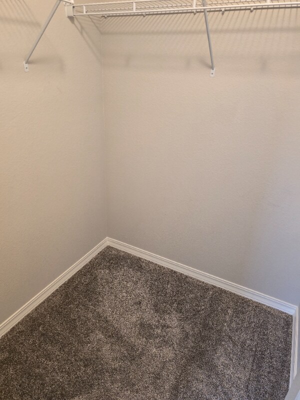 Building Photo - 10915 Lavanya Pl