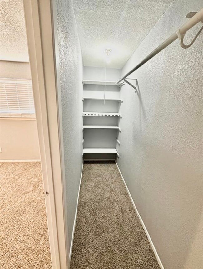 Building Photo - 16110 White Star Dr