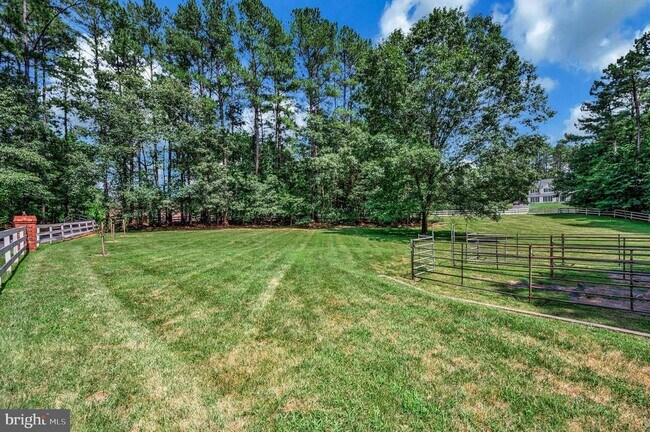 Building Photo - 8 Wilderness Ct