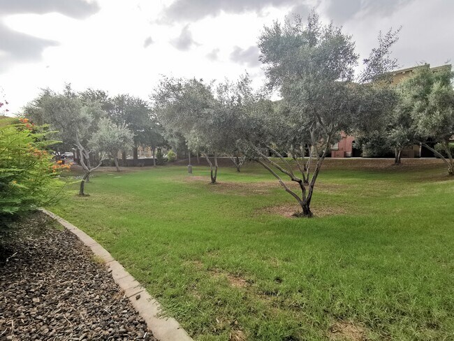 Big community green area. - 900 S 94th St