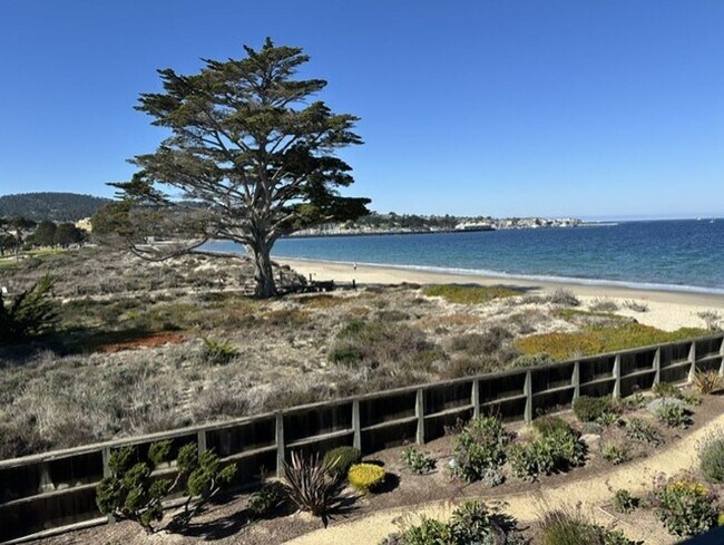 Building Photo - Sophisticated Beachfront Escape with Panoramic Ocean Views
