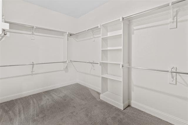 Building Photo - 2445 Saffire Way