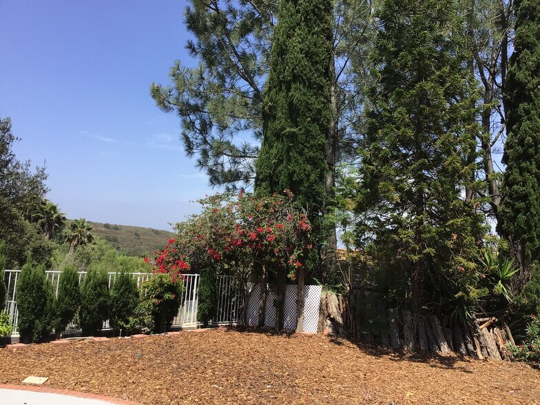 Building Photo - 10864 Avenida de los Lobos