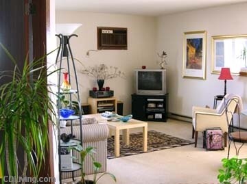 Interior Photo - Fullers Woods