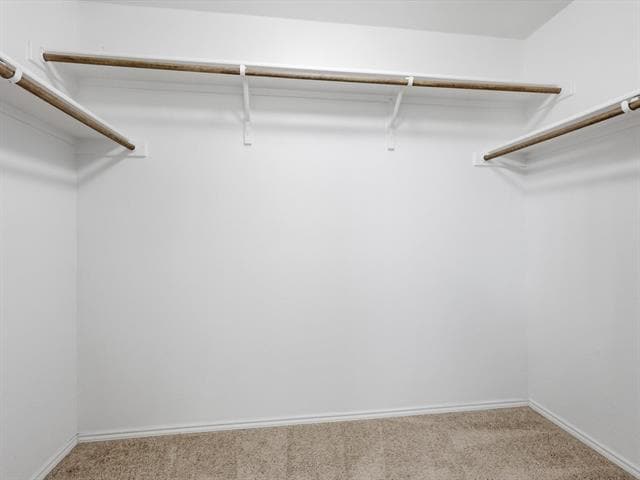 Building Photo - 461 Blue Crow Ln