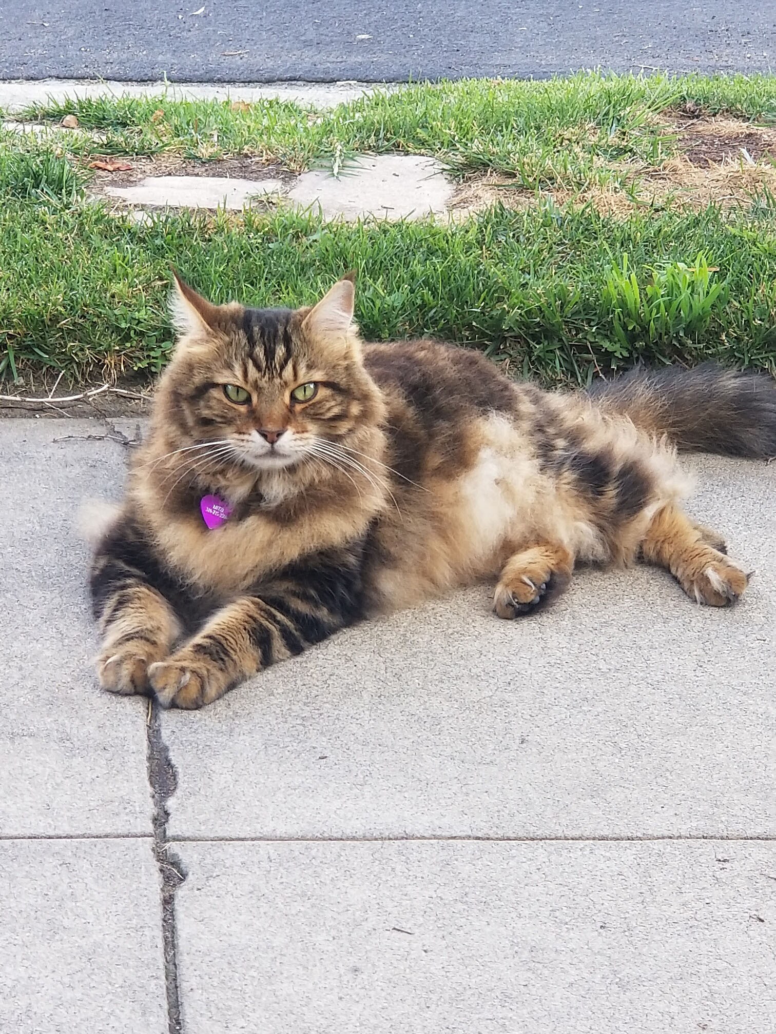 Building Photo - 831 Alandele Ave