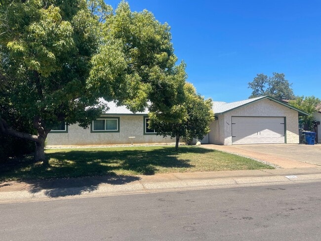 Building Photo - LARGE 4 BEDROOM 2 BATHROOM HOME IN THE PEPPERTREE SUBDIVISION
