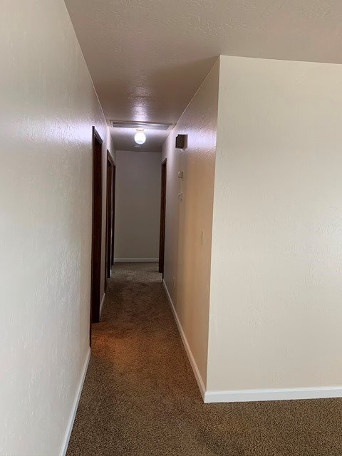 Building Photo - 1125 Tamera Dr
