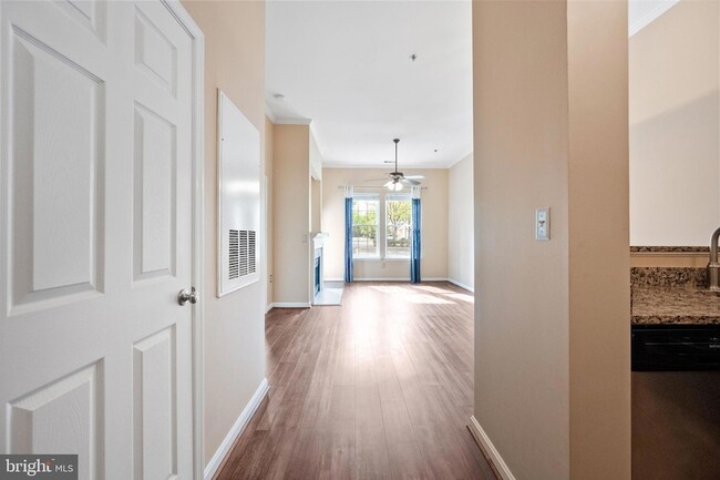 Building Photo - 171 Somervelle St