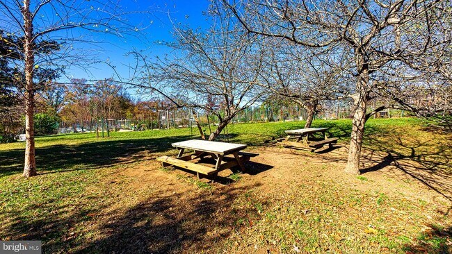 Building Photo - 3400 39th St NW