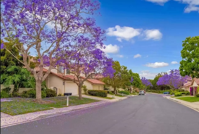 Building Photo - 4026 Caminito Cassis