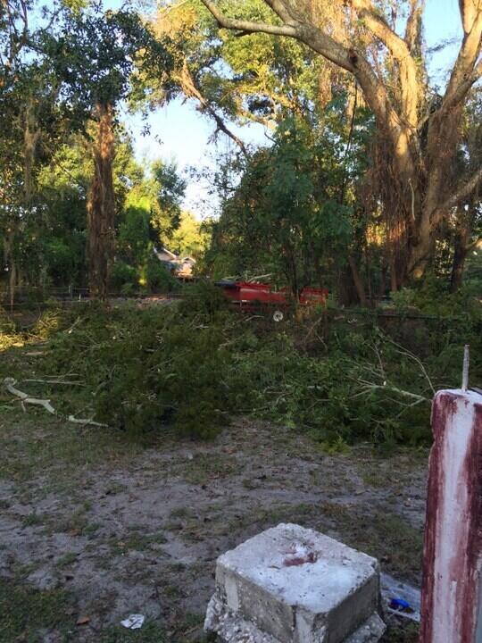 Building Photo - 509 E Magnolia St