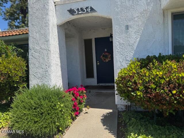 Primary Photo - 3734 Summershore Ln