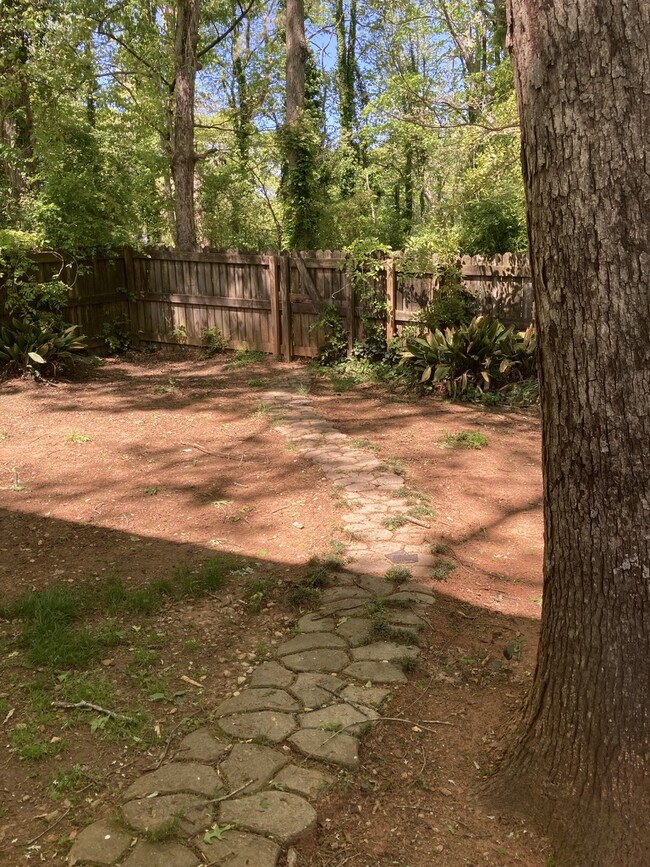 Backyard - 2255 Winterville Rd