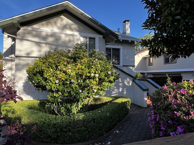 Building Photo - Bright and Spacious 5 Bedroom Home in San Anselmo