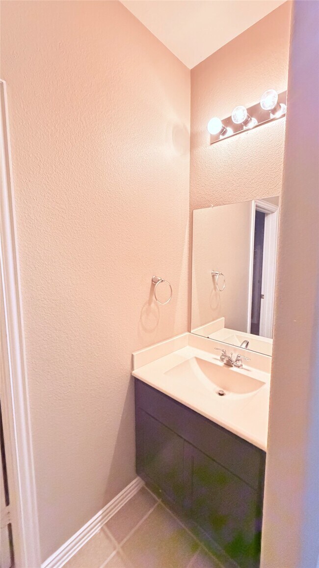 Building Photo - 16627 Fiesta Rose Ct