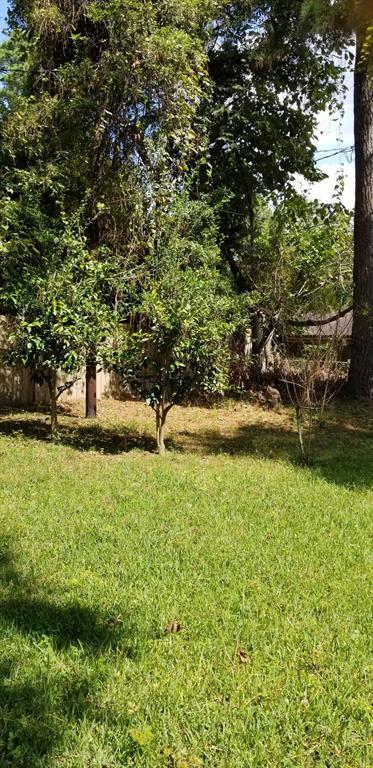Building Photo - 24506 Cottonwood Cove Ln