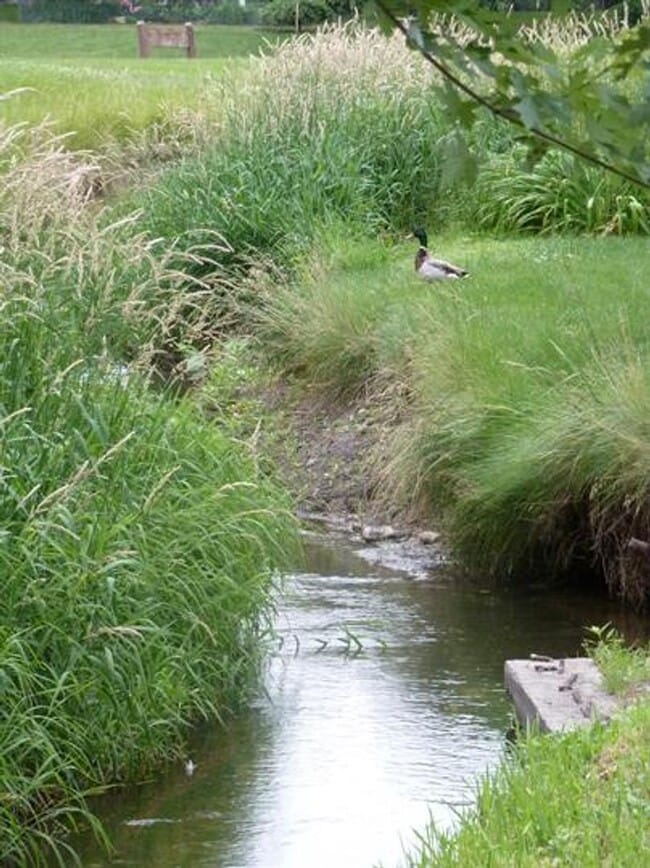 Building Photo - 2127 Ivy Ct