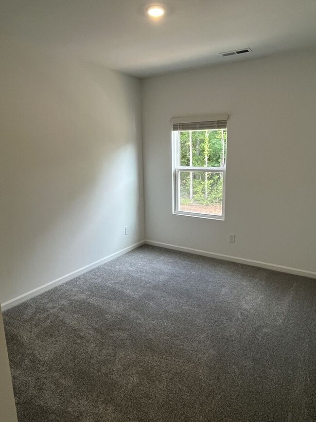 Building Photo - Brand New 4 Bed Townhome in North Charlotte!