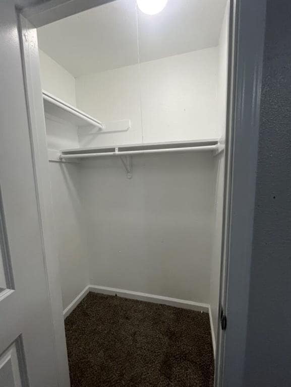 Building Photo - 4407 Teri Rd