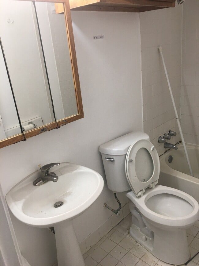 downstairs bath - 114 S Lee St