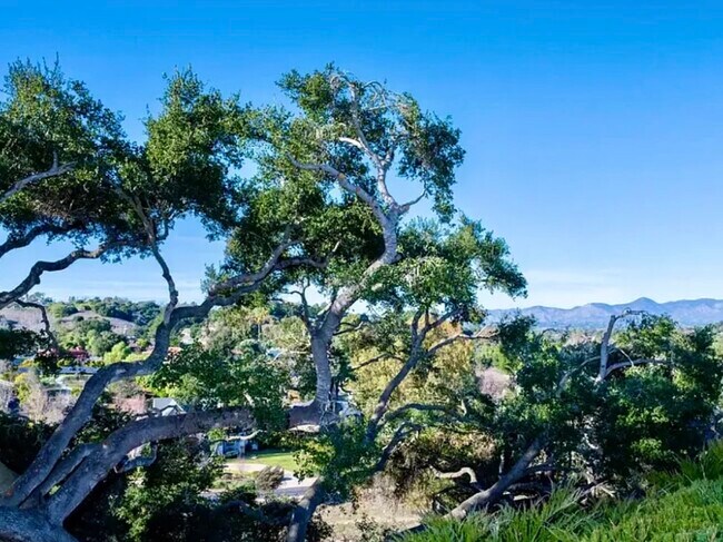 Building Photo - 915 Ranch View Ln