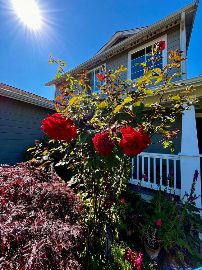 Building Photo - Peaceful Hansville Home with Plenty of Room