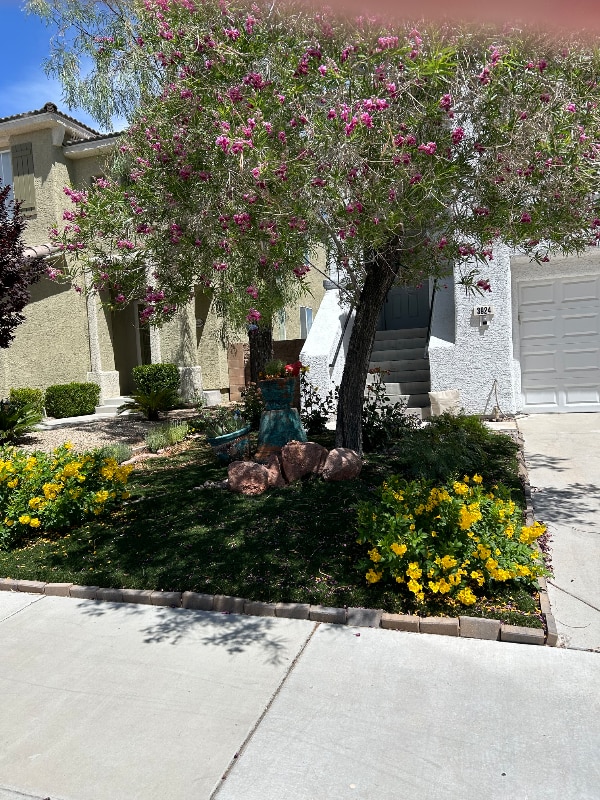Primary Photo - 3924 W Irvin Ave