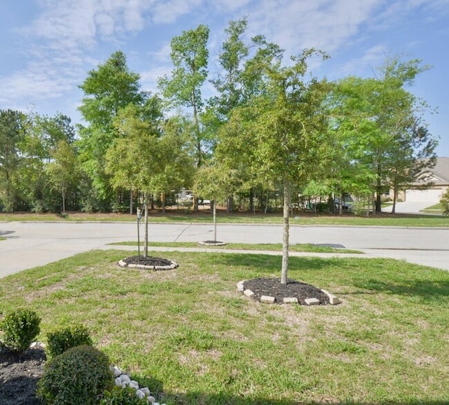 Building Photo - 4114 Trenton Arbor Ln