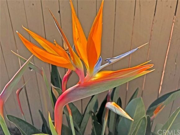 Building Photo - 10581 Sunburst Dr