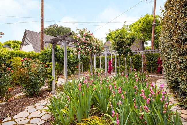 Fruit trees and flowers throughout - 2173 San Pasqual St
